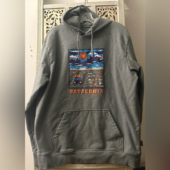 Patagonia Men's Summit Road Uprisal Hoody size XL Grey Gray Colorful - Picture 2 of 7